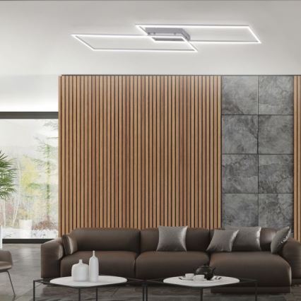 Paul Neuhaus 8194-55 - Lámpara de techo LED regulable INIGO 2xLED/20W/230V