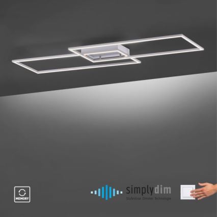 Paul Neuhaus 8194-55 - Lámpara de techo LED regulable INIGO 2xLED/20W/230V