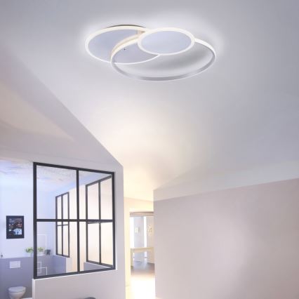 Paul Neuhaus 8318-55 - LED Plafón regulable EMILIO LED/53W/230V + CR