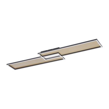 Paul Neuhaus 8371-18 - Lámpara de Techo Regulable LED LED/40W/230V + Mando a distancia
