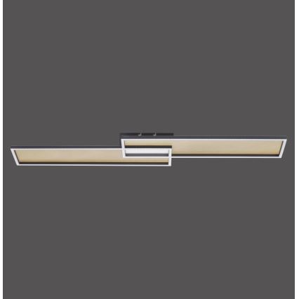 Paul Neuhaus 8371-18 - Lámpara de Techo Regulable LED LED/40W/230V + Mando a distancia