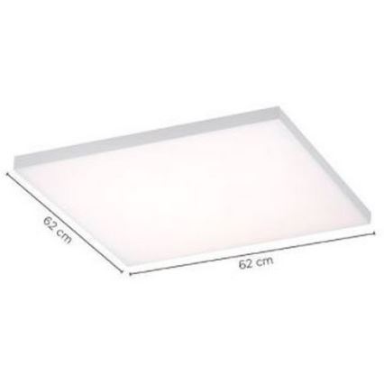Paul Neuhaus 8492-16 - Panel de LEDs regulables con base FRAMELESS LED/35W/230V + mando a distancia