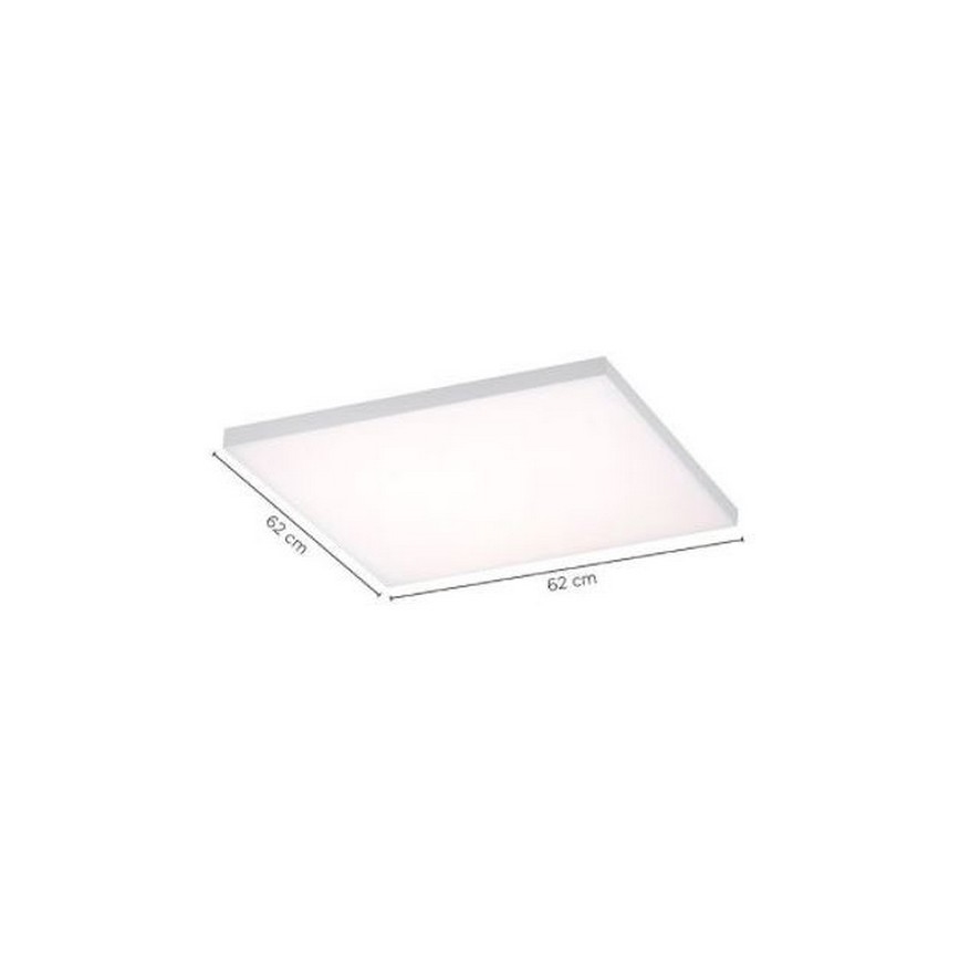 Paul Neuhaus 8492-16 - Panel de LEDs regulables con base FRAMELESS LED/35W/230V + mando a distancia