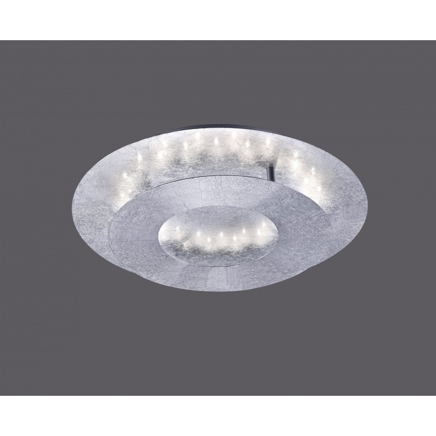 Paul Neuhaus 9011-21 - Plafón LED NEVIS LED/6W/230V plata
