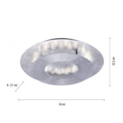 Paul Neuhaus 9011-21 - Plafón LED NEVIS LED/6W/230V plata