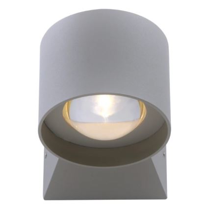 Paul Neuhaus 9441-21 - Aplique LED para exterior TIMO 2xLED/2W/230V IP54