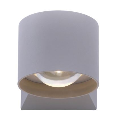 Paul Neuhaus 9441-21 - Aplique LED para exterior TIMO 2xLED/2W/230V IP54