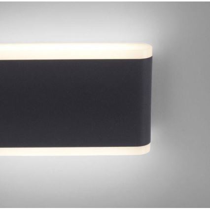 Paul Neuhaus 9483-13 - Aplique LED para exterior ELSA 2xLED/5,4W/230V IP65