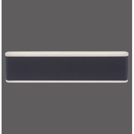 Paul Neuhaus 9484-13 - Aplique de exterior LED regulable ELSA 2xLED/9W/230V IP65