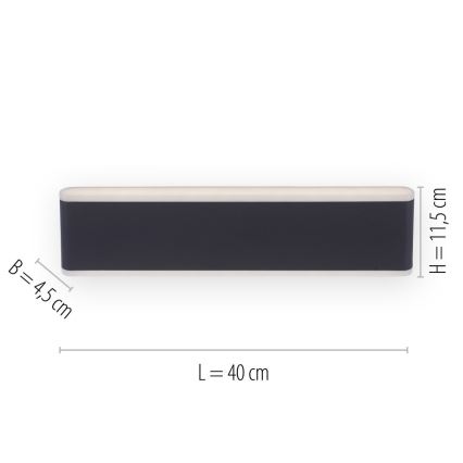 Paul Neuhaus 9484-13 - Aplique de exterior LED regulable ELSA 2xLED/9W/230V IP65