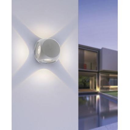 Paul Neuhaus 9485-21 - Aplique LED para exterior CARLO 4xLED/0,8W/230V IP54