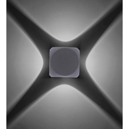 Paul Neuhaus 9485-21 - Aplique LED para exterior CARLO 4xLED/0,8W/230V IP54