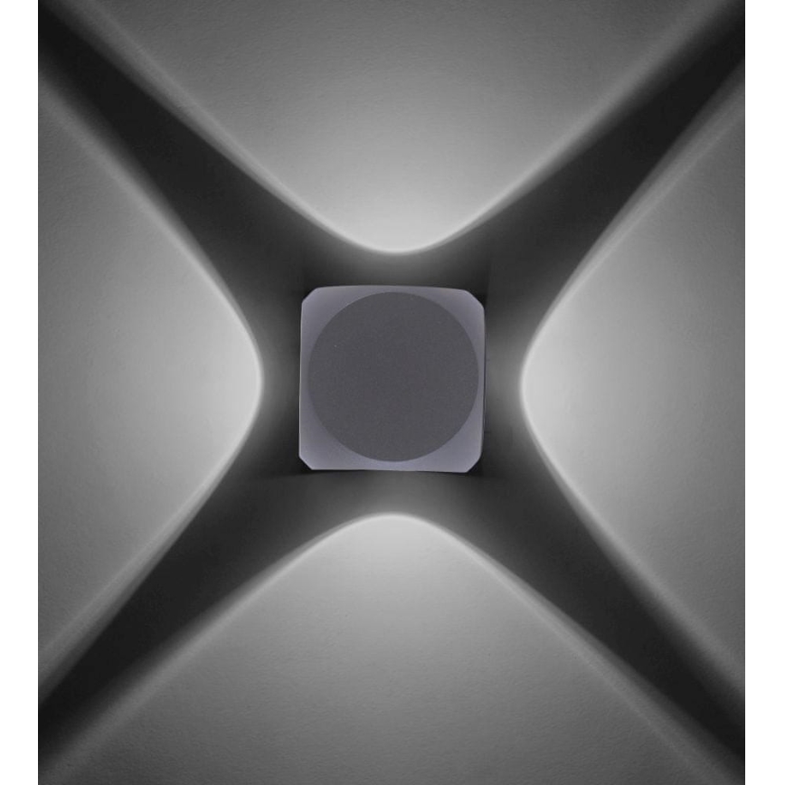 Paul Neuhaus 9485-21 - Aplique LED para exterior CARLO 4xLED/0,8W/230V IP54