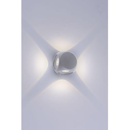 Paul Neuhaus 9485-21 - Aplique LED para exterior CARLO 4xLED/0,8W/230V IP54