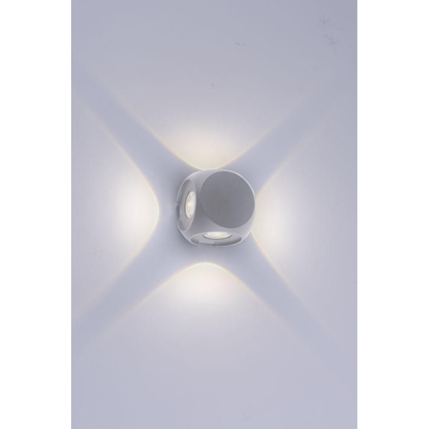 Paul Neuhaus 9485-21 - Aplique LED para exterior CARLO 4xLED/0,8W/230V IP54