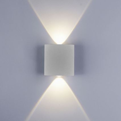 Paul Neuhaus 9486-21 - Aplique de exterior LED CARLO 2xLED/1,7W/230V IP54