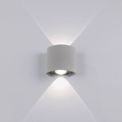 Paul Neuhaus 9486-21 - Aplique de exterior LED CARLO 2xLED/1,7W/230V IP54