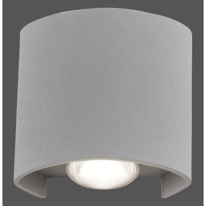 Paul Neuhaus 9486-21 - Aplique de exterior LED CARLO 2xLED/1,7W/230V IP54