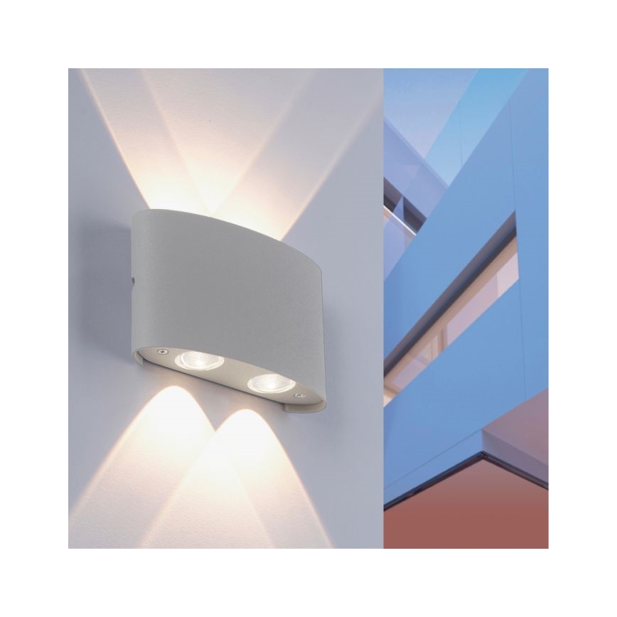 Paul Neuhaus 9487-21 - Aplique LED de exterior CARLO 4xLED/0,8W/230V IP54