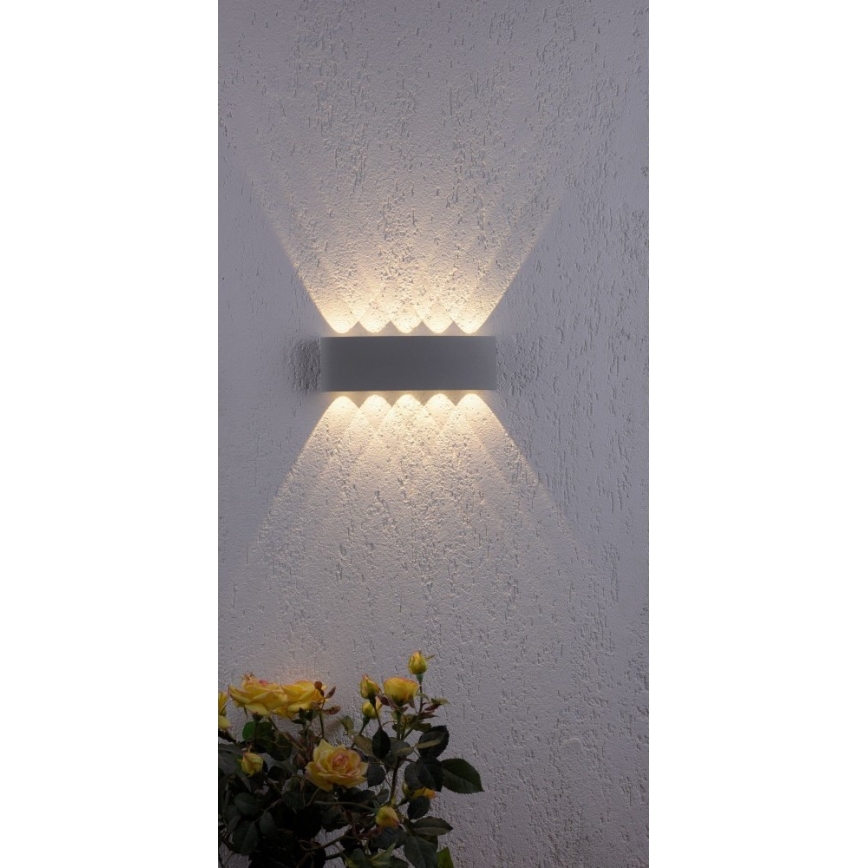Paul Neuhaus 9489-21- Aplique de exterior LED CARLO 10xLED/0,8W/230V IP54