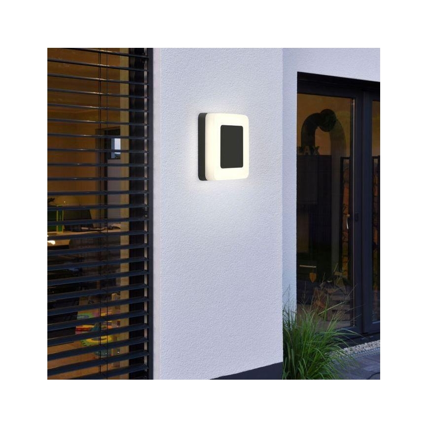 Paul Neuhaus 9491-13 - Lámpara LED para exteriores FABIAN LED/12,6W/230V IP54