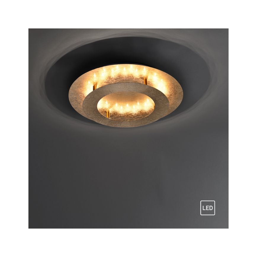 Paul Neuhaus 9620-12 - Plafón LED NEVIS LED/18W/230V dorado