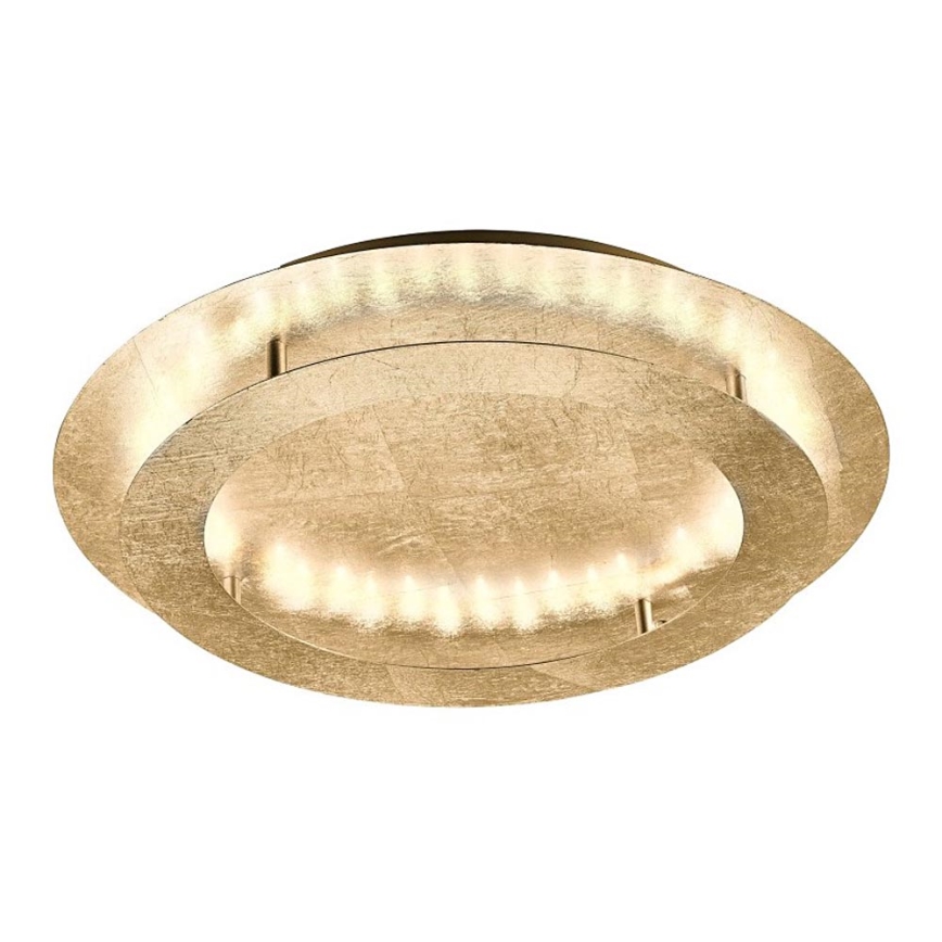Paul Neuhaus 9621-12 - Plafón LED NEVIS LED/24W/230V