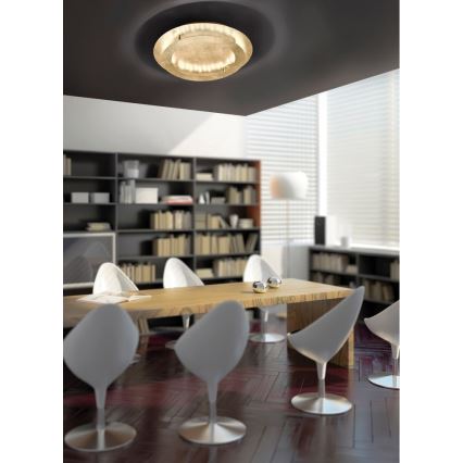 Paul Neuhaus 9621-12 - Plafón LED NEVIS LED/24W/230V