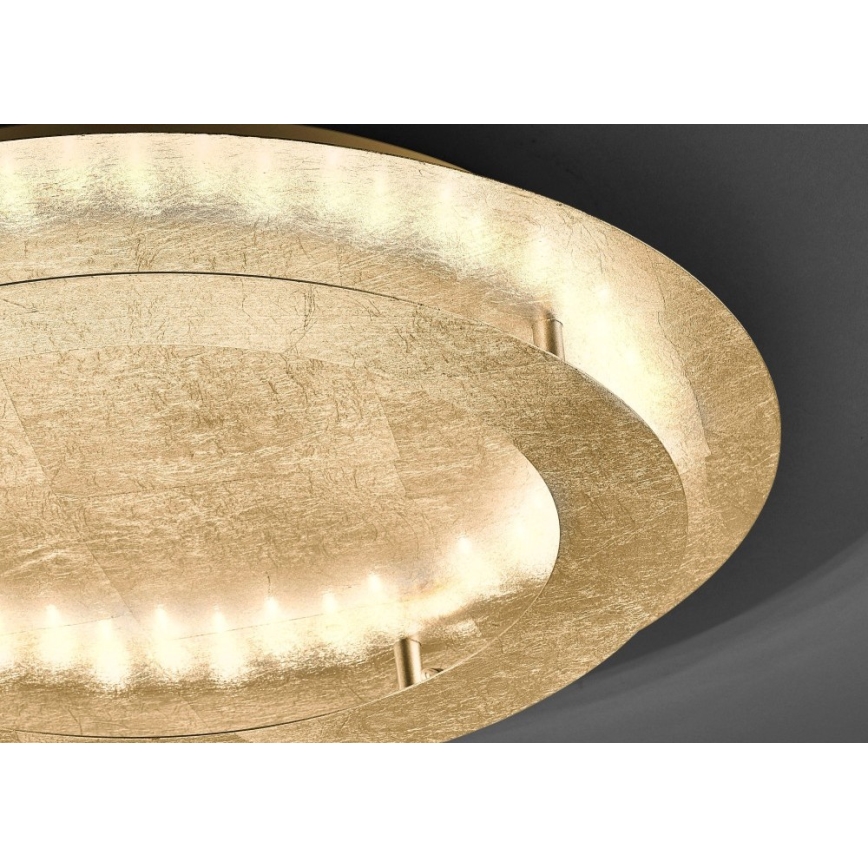 Paul Neuhaus 9621-12 - Plafón LED NEVIS LED/24W/230V