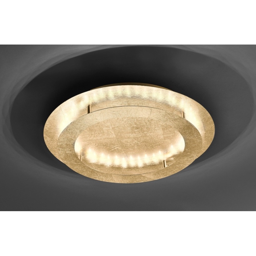 Paul Neuhaus 9621-12 - Plafón LED NEVIS LED/24W/230V