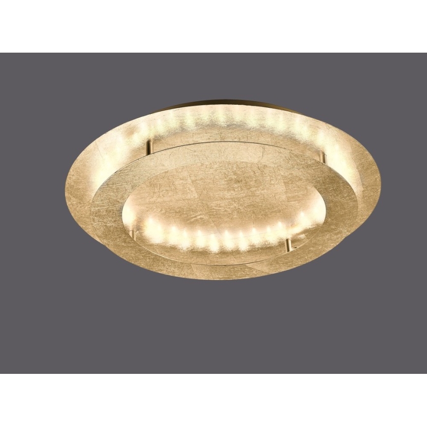 Paul Neuhaus 9621-12 - Plafón LED NEVIS LED/24W/230V