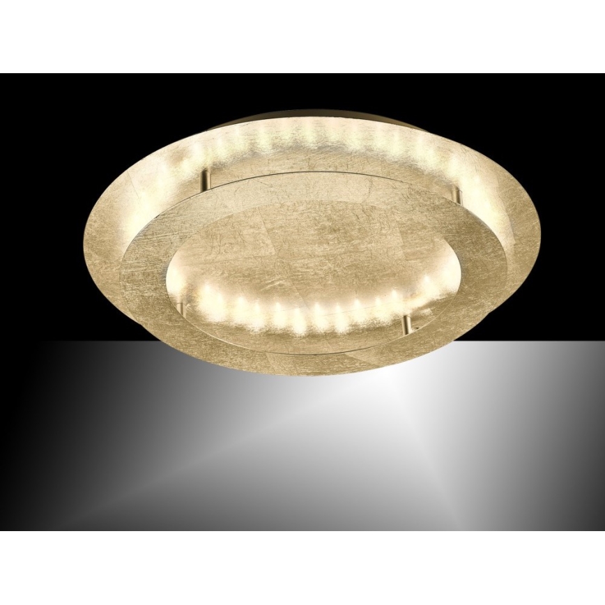 Paul Neuhaus 9621-12 - Plafón LED NEVIS LED/24W/230V