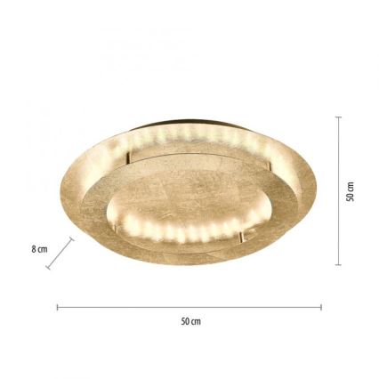Paul Neuhaus 9621-12 - Plafón LED NEVIS LED/24W/230V