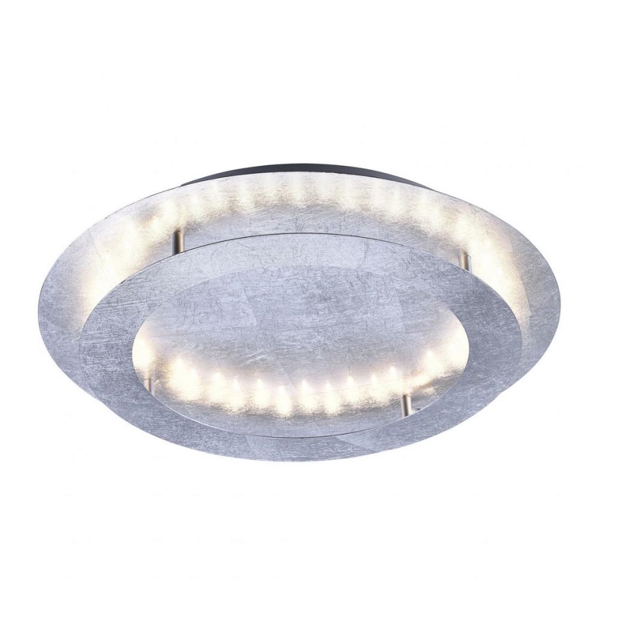 Paul Neuhaus 9621-21 - Plafón LED NEVIS LED/24W/230V
