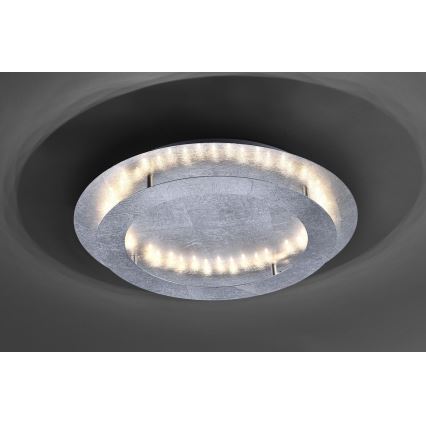 Paul Neuhaus 9621-21 - Plafón LED NEVIS LED/24W/230V