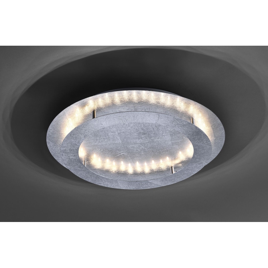 Paul Neuhaus 9621-21 - Plafón LED NEVIS LED/24W/230V