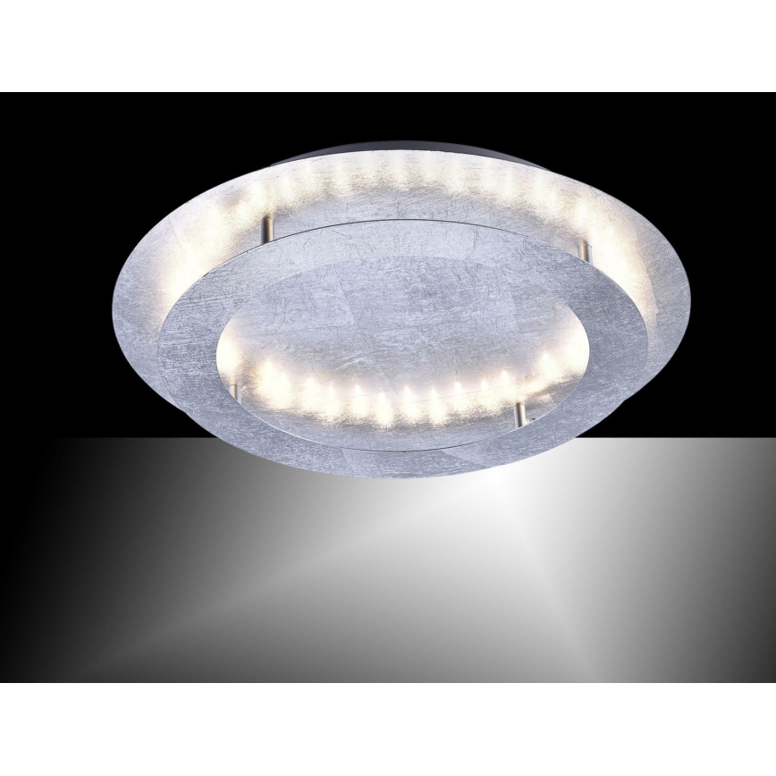 Paul Neuhaus 9621-21 - Plafón LED NEVIS LED/24W/230V