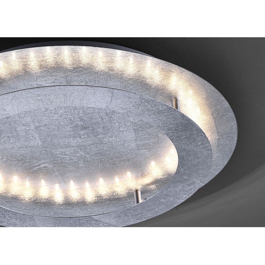 Paul Neuhaus 9621-21 - Plafón LED NEVIS LED/24W/230V
