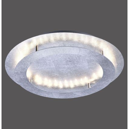 Paul Neuhaus 9621-21 - Plafón LED NEVIS LED/24W/230V
