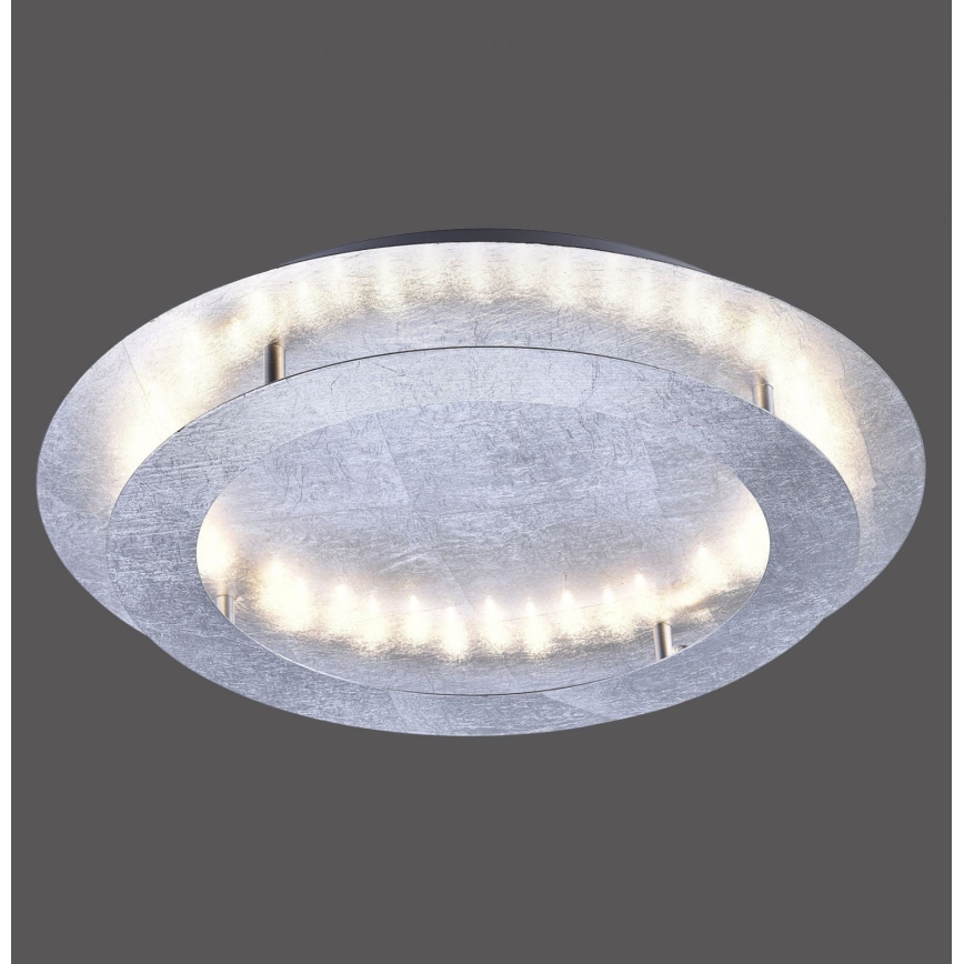 Paul Neuhaus 9621-21 - Plafón LED NEVIS LED/24W/230V