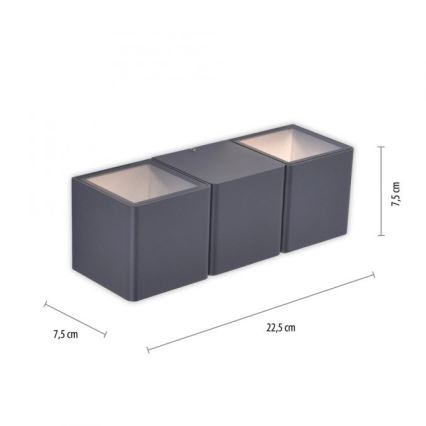 Paul Neuhaus 9658-13 - Aplique LED para exterior MARCEL 2xLED/4W/230V IP54
