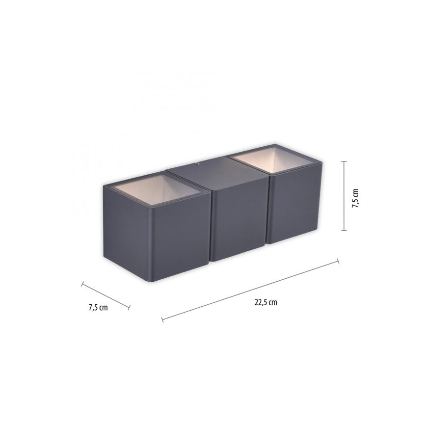 Paul Neuhaus 9658-13 - Aplique LED para exterior MARCEL 2xLED/4W/230V IP54