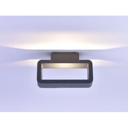 Paul Neuhaus 9668-13 - Aplique LED de exterior HENDRIK LED/5,2W/230V IP54