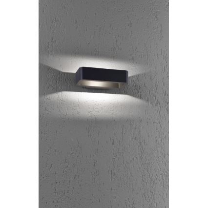 Paul Neuhaus 9668-13 - Aplique LED de exterior HENDRIK LED/5,2W/230V IP54