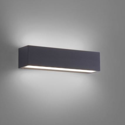 Paul Neuhaus 9675-13 - Aplique LED de exterior ROBERT 2xLED/9W/230V IP65