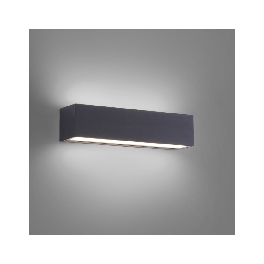 Paul Neuhaus 9675-13 - Aplique LED de exterior ROBERT 2xLED/9W/230V IP65