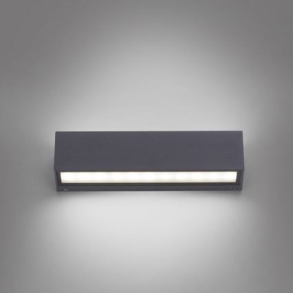 Paul Neuhaus 9675-13 - Aplique LED de exterior ROBERT 2xLED/9W/230V IP65