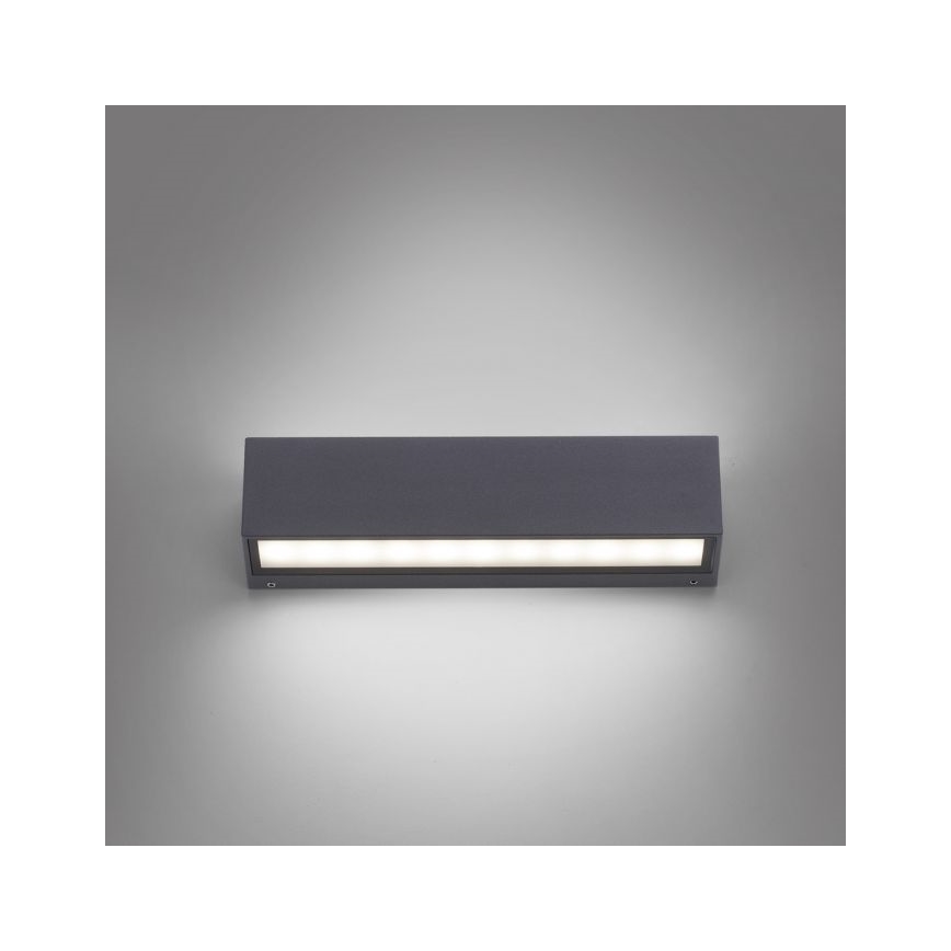 Paul Neuhaus 9675-13 - Aplique LED de exterior ROBERT 2xLED/9W/230V IP65