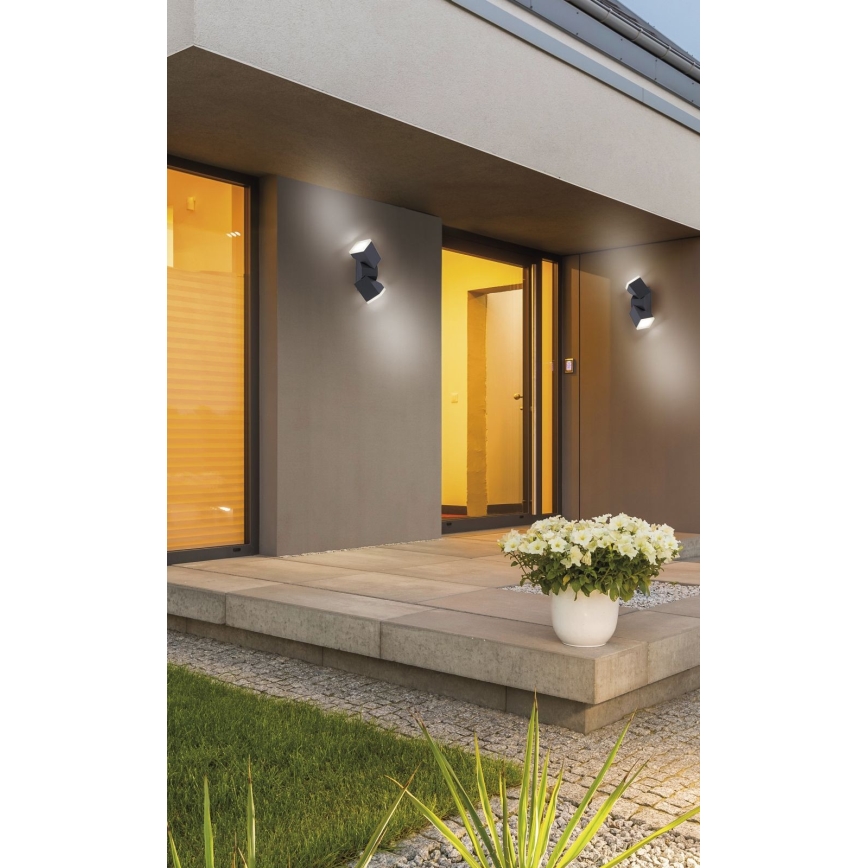 Paul Neuhaus 9722-13 - Aplique LED de exterior RYAN 2xLED/5W/230V IP54