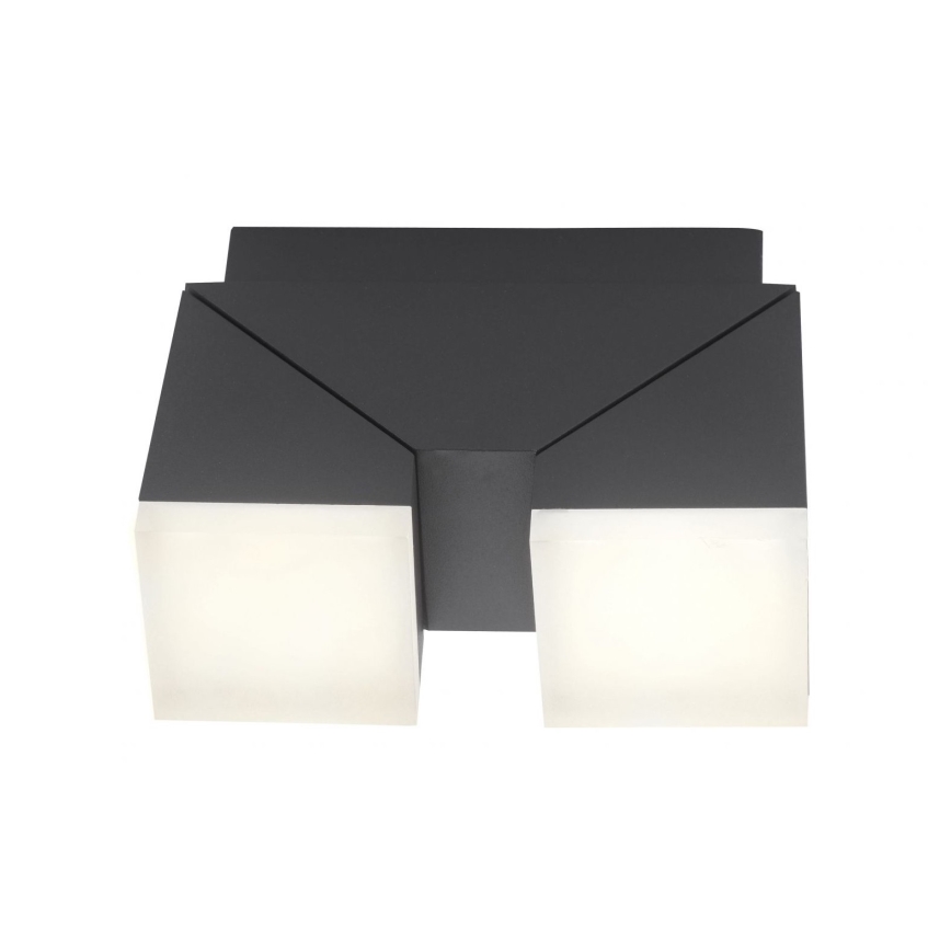 Paul Neuhaus 9722-13 - Aplique LED de exterior RYAN 2xLED/5W/230V IP54